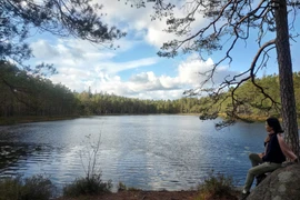 Xuân - Hạ - Thu - Đông: 4 mùa sống chậm ở Kirkkonummi