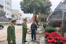Quyết liệt các biện pháp duy trì trật tự đô thị “Sáng, xanh, sạch, đẹp”
