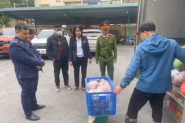 Phát hiện xe vận chuyển hàng hóa thực phẩm không rõ nguồn gốc, xuất xứ
