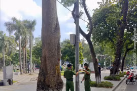 Quyết liệt giữ gìn kỷ cương, gần dân trong từng hành động
