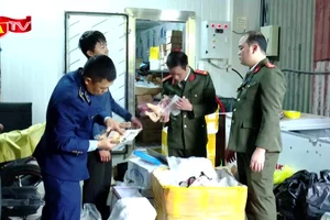 Cận cảnh các kho đông lạnh chứa thực phẩm quá hạn, không nguồn gốc