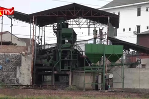 Vì sao một cơ sở sơ chế cà phê bị đình chỉ hơn 4 tháng?