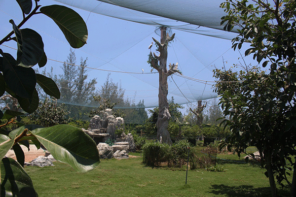 Lịch trình khám phá các điểm "hot" nhất Quy Nhơn dịp 30/4 – 1/5 ảnh 5 Lịch trình khám phá các điểm "hot" nhất Quy Nhơn dịp 30/4 – 1/5 ảnh 5