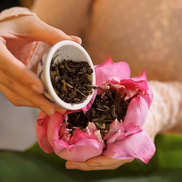 Tao nhã thú trà sen bên hồ trong sương sớm ảnh 1