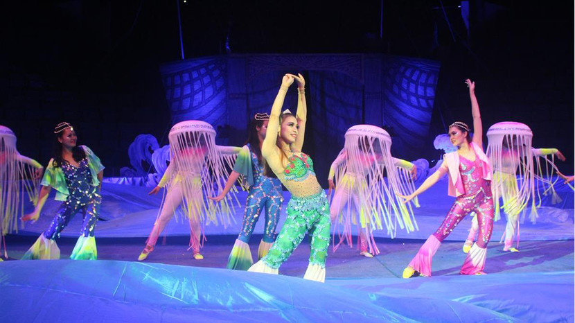 Liên đoàn Xiếc Việt Nam hủy 38 "sô" biểu diễn vì dịch Covid-19 ảnh 2