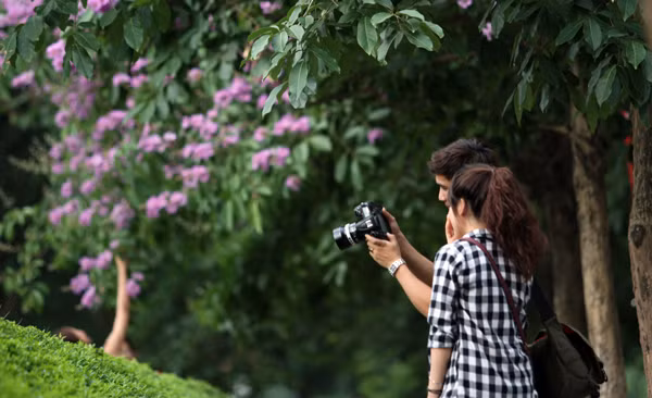 Hà Nội vào hè với sắc tím bằng lăng, đỏ phượng vĩ ảnh 6