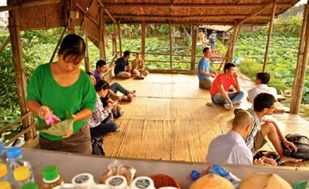 Tao nhã thú trà sen bên hồ trong sương sớm ảnh 7