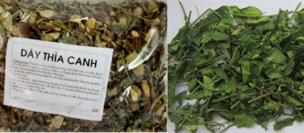 Hại đủ đường khi sử dụng dược liệu trị tiểu đường trôi nổi ảnh 1