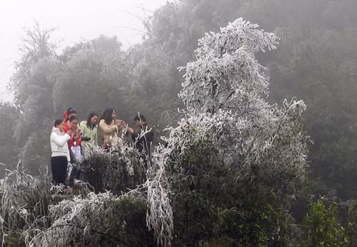 Giữa tuần tới, băng giá có thể xuất hiện ở khu vực núi cao miền Bắc