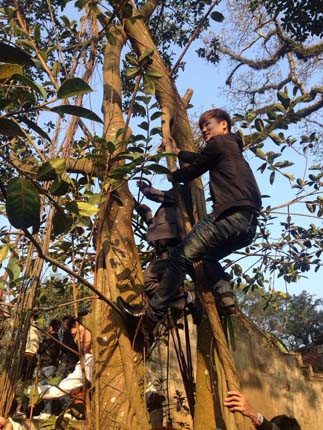 Lễ hội Gióng diễn ra bình yên, vui vẻ ảnh 7 Lễ hội Gióng diễn ra bình yên, vui vẻ ảnh 7