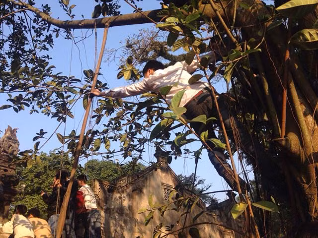 Lễ hội Gióng diễn ra bình yên, vui vẻ ảnh 9