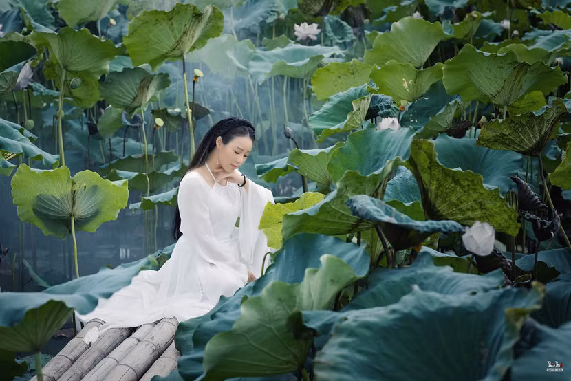 Ca sĩ Hoa Trần "cover" bài "hit" của Hoài Lâm theo phong cách cổ trang ảnh 1