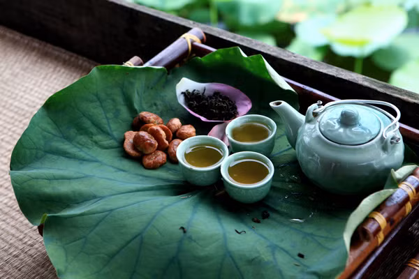 Tao nhã thú trà sen bên hồ trong sương sớm ảnh 5