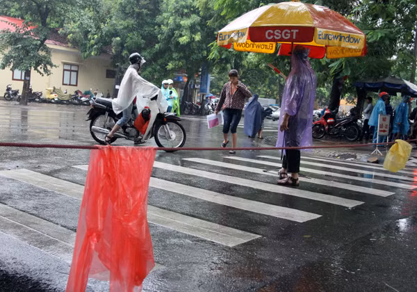 Xà cừ cổ thụ bật gốc, đổ chắn ngang đường Triệu Quốc Đạt ảnh 4