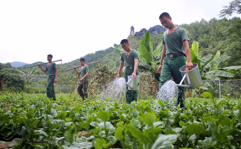 Xem bộ đội biên phòng Lý Vạn rèn quân, tăng gia sản xuất ảnh 8