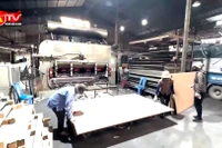 Từ 2026, doanh nghiệp trả lương thấp hơn mức tối thiểu bị phạt tới 75 triệu đồng