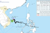 Ứng dụng trí tuệ nhân tạo nâng cao chất lượng dự báo mưa bão