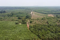 Doanh nghiệp nào vừa được Đồng Nai chấp thuận xây 13km đường trên cao xuyên rừng Mã Đà?