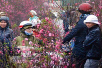 Không khí lạnh tăng cường tràn xuống, Bắc bộ mưa rét từ đêm nay