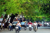 Thời tiết ngày mùng 3 Tết: Bắc bộ tăng nhiệt, chỉ còn rét về đêm và sáng