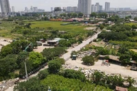 Chủ tịch xã sẽ được phạt vi phạm đất đai lên đến 250 triệu đồng?