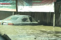 Lũ lụt nghiêm trọng tại Indonesia, ít nhất 770 người thiệt mạng 