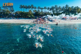 Giải bơi vượt biển Lý Sơn 2026: Hành trình chinh phục biển Đông của những kình ngư