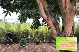 'Cơ quan xanh' – Sức trẻ làm mới trụ sở Công an phường Long Biên