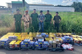 Quyết liệt chặn pháo lậu trước thềm Tết Nguyên đán Bính Ngọ