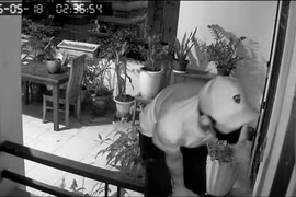 Mở cửa cho mát đêm hè, coi chừng “mở lối” cho trộm đột nhập