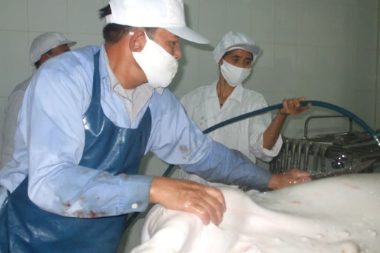 Hà Nội vẫn còn gần 600 cơ sở giết mổ gia súc, gia cầm nhỏ lẻ