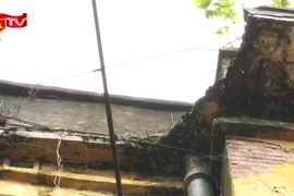 Hà Nội áp dụng cơ chế đặc thù để đẩy nhanh cải tạo chung cư cũ