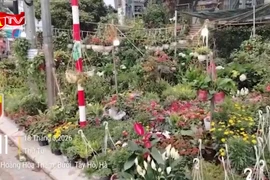 Lấn chiếm vỉa hè quanh Chợ Bưởi: Ảnh hưởng mỹ quan và trật tự đô thị