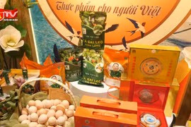 Lan tỏa giá trị hàng Việt qua chương trình “Sức sống hàng Việt” số 4