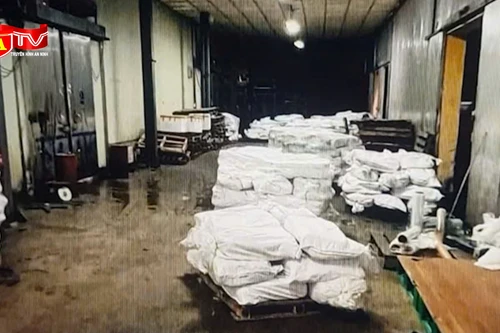  "Biến" 130 tấn thịt lợn nhiễm dịch tả châu Phi thành đồ hộp, 9 đối tượng bị khởi tố