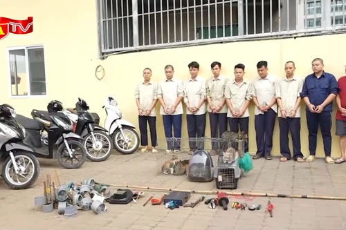 Triệt phá nhóm thanh niên mang súng điện, hơi cay đi 'săn' mèo