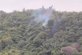 Đắk Lắk: Máy bay quân sự rơi trên núi, phi công nhảy dù an toàn