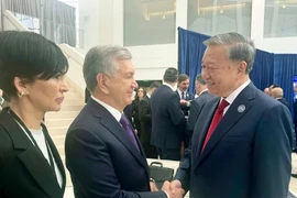 Tổng Bí thư gặp lãnh đạo các nước nhân dịp dự cuộc họp Hội đồng Hòa bình về Gaza