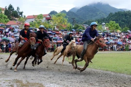 Một số lễ hội và giải đua ngựa truyền thống ở Việt Nam