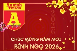 CHÚC MỪNG NĂM MỚI XUÂN BÍNH NGỌ 2026