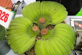 Sản vật đặc sắc 3 miền hấp dẫn người Thủ đô