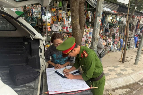 Xử lý một số hộ dân bày bán cây cảnh chiếm vỉa hè 