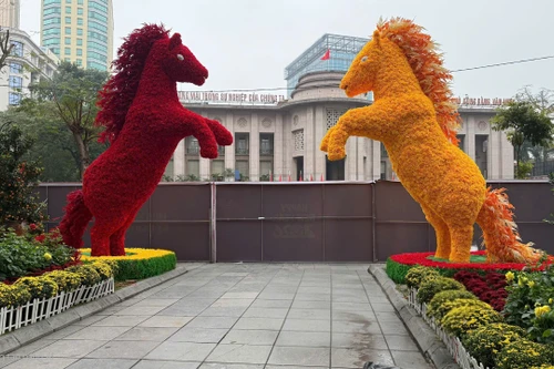 Hà Nội: Không gian hoa xuân lớn nhất từ trước đến nay sẽ mở đón khách từ 13/2 tại vườn hoa Lý Thái Tổ