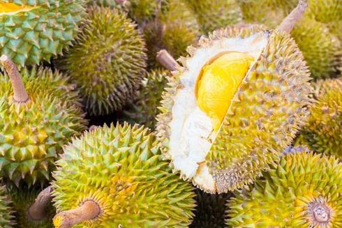 Những loại trái cây cần hạn chế ăn trong mùa nắng nóng ảnh 10