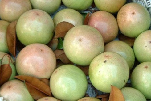 Những loại trái cây cần hạn chế ăn trong mùa nắng nóng ảnh 1