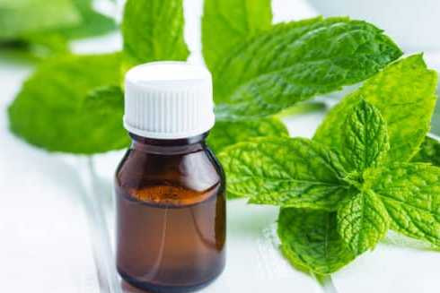 8 phương pháp làm giảm nghẹt mũi đơn giản mà hiệu quả khi thời tiết thay đổi ảnh 7