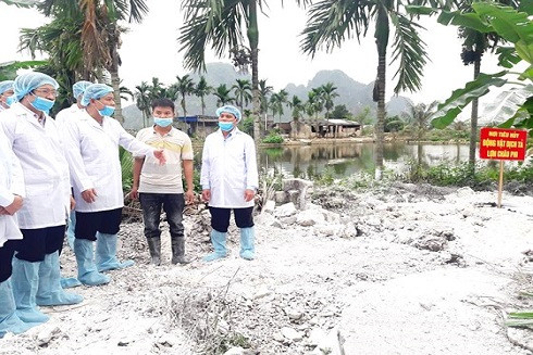 Ngăn chặn dịch tả lợn châu Phi trước nguy cơ lan rộng ảnh 2