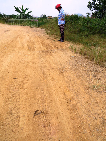 Nghi án một gia đình bị trộm chuốc thuốc mê, đưa xe tải “cướp” cả đàn trâu ảnh 2