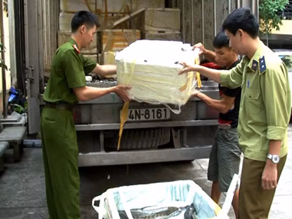 Cá quả lậu tiêm thuốc, cơ quan hữu trách thờ ơ ảnh 1