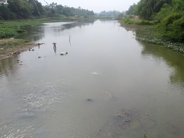 Sông Đáy thơ mộng bị ô nhiễm trầm trọng, trở thành "dòng sông chết" ảnh 1